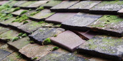 Machynys roof repair costs